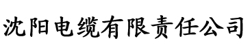 91爱爱香蕉视频电缆厂logo